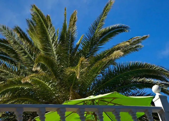 Casa Flores *