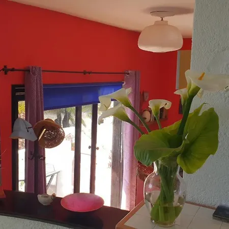 Casa Flores 度假居 *
