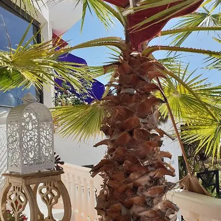 度假居 Casa Flores 洛斯·亚诺斯·德·阿里丹